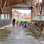 Homerhof - Hofmann Johann Junior | Chiemgau Karte 农家乐 *