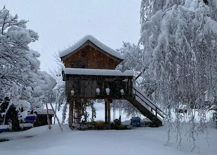Alloggio per agriturismo Homerhof - Hofmann Johann Junior | Chiemgau Karte *