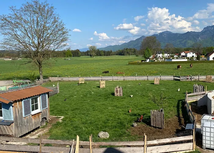 Alloggio per agriturismo Homerhof - Hofmann Johann Junior | Chiemgau Karte